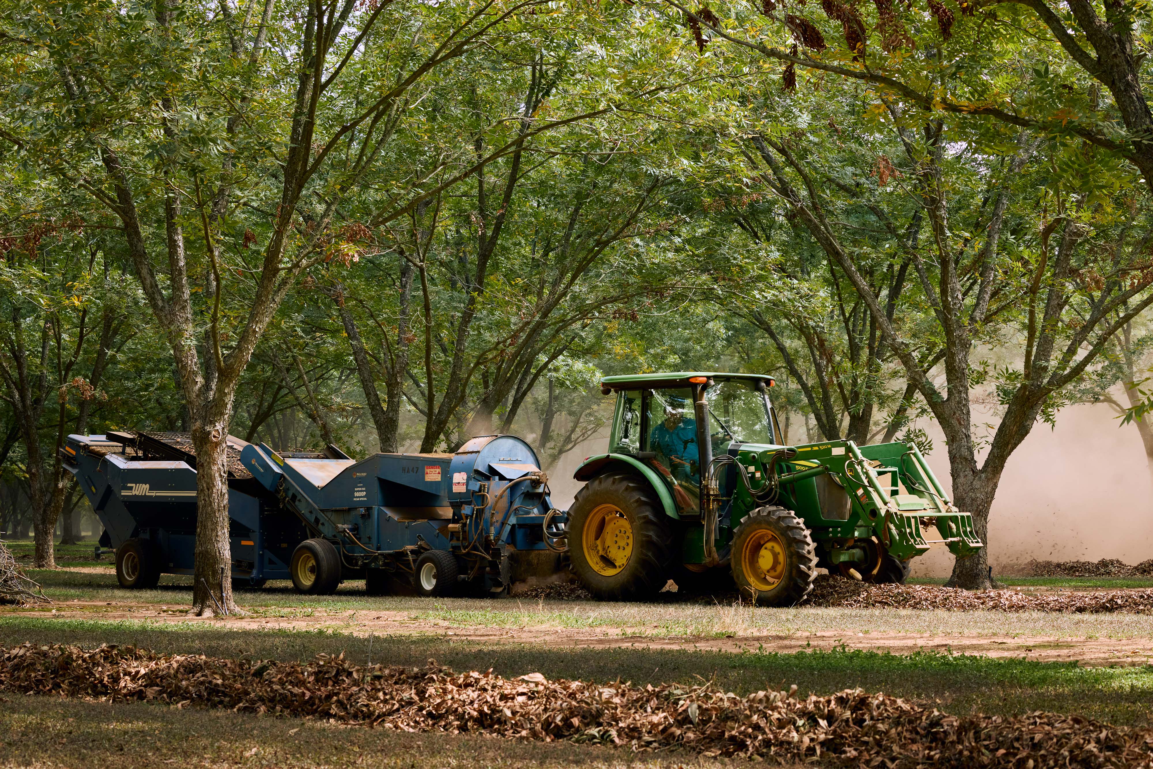 Orchard in action