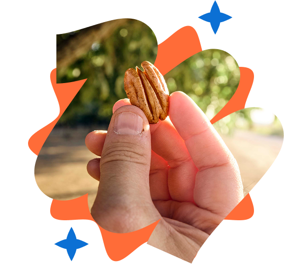 A pecan in one hand