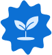Pecan plant icon
