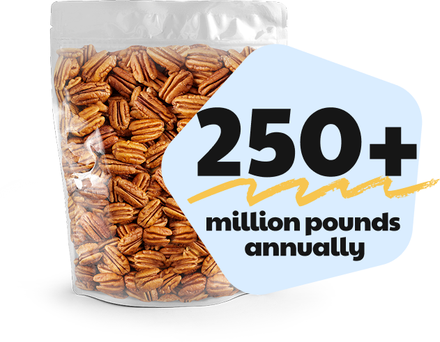 Pecans in a bag